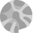 Fossils