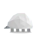 Rock Beetle