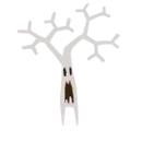 White Treant