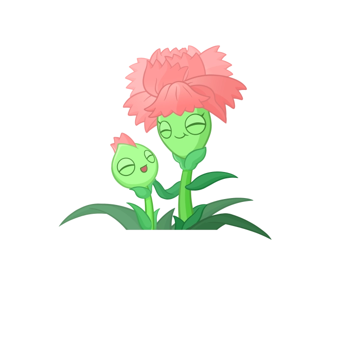 Carnation