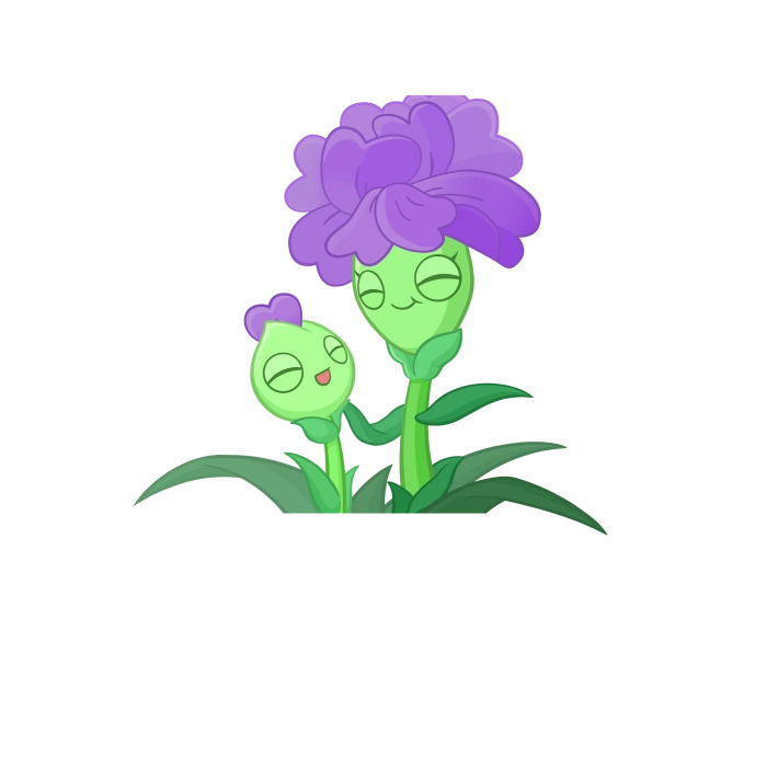 Cherished Carnation