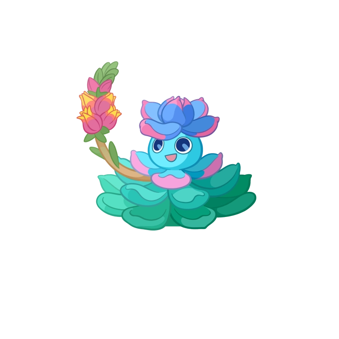 Echeveria