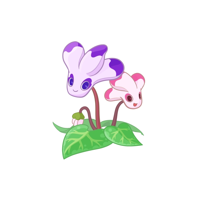 Cyclamen