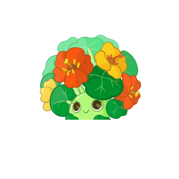 Nasturtium