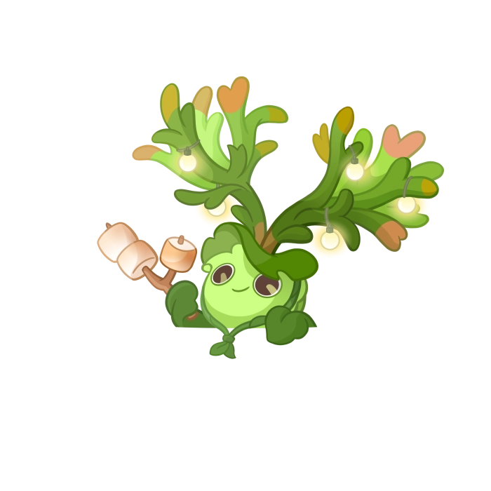 Leisurely Staghorn Fern