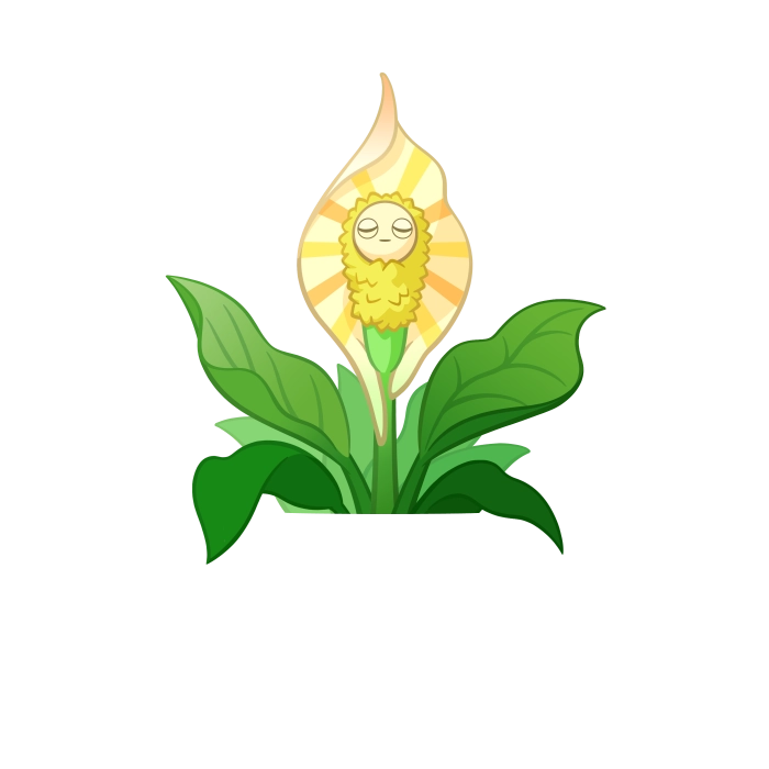 Dawn Peace Lily