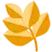 Wheat